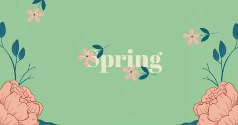 Animation of spring text over pink flowers falling and floral decoration on Stock Footage 329556823