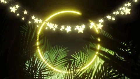 Animation of star string lights and yellow neon ring, with palm leaves on black Stock Footage 204851140