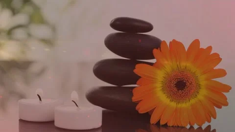 Animation of star string lights and red christmas against effect Video stock 330657903