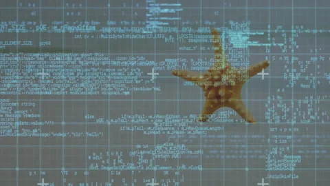 Animation of starfish on programming code and data grid background Stock Footage 306264945