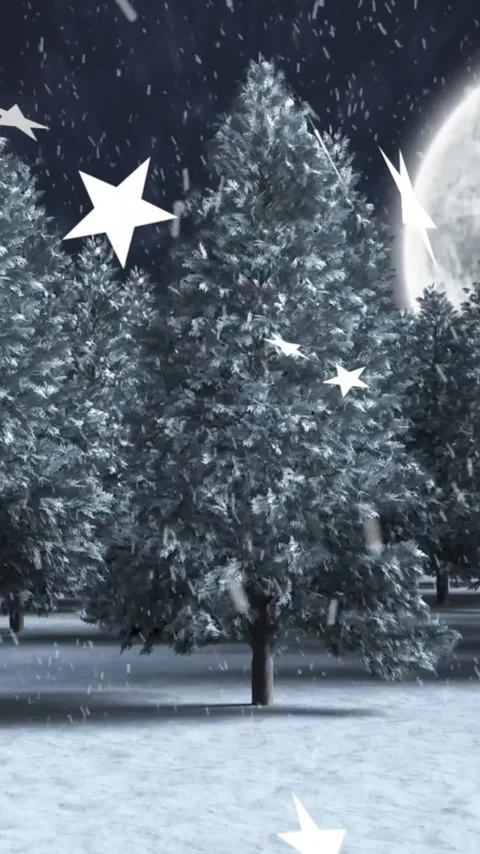 Animation of stars falling over pine trees on snow covered landscape against Stock Footage 343718881