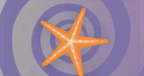 On animation start orange starfish rotating clockwise in steps syncing pulsing Stock Footage 315520279