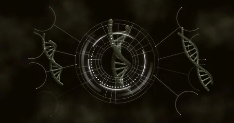 On animation start, three DNA helices drifting with HUD rings pulsing, Stock Footage 317227545