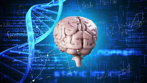 Animation starting, 3D brain rotating, DNA helix waving, graphs linking brain Stock Footage 330331333