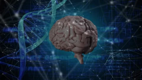 Animation starting, brain rotating while nodes pulsing and linking DNA helix, Stock Footage 328584021