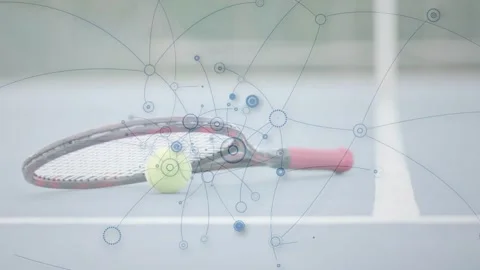 Animation starting from still racket and ball, network appearing, spreading, Stock Footage 333609753