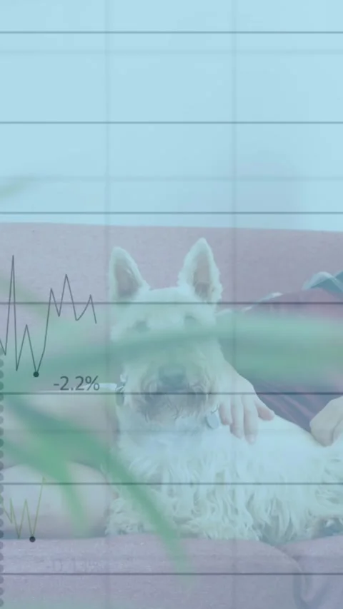 Animation of statistical data processing over caucasian lesbian couple watching Vídeo Stock 343721090