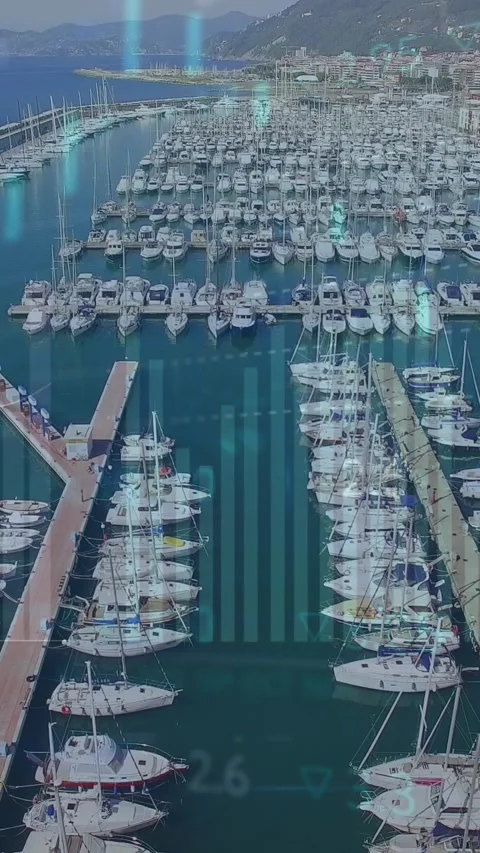 Animation of statistical data processing over aerial view of ship harbor Stock Footage 343902302