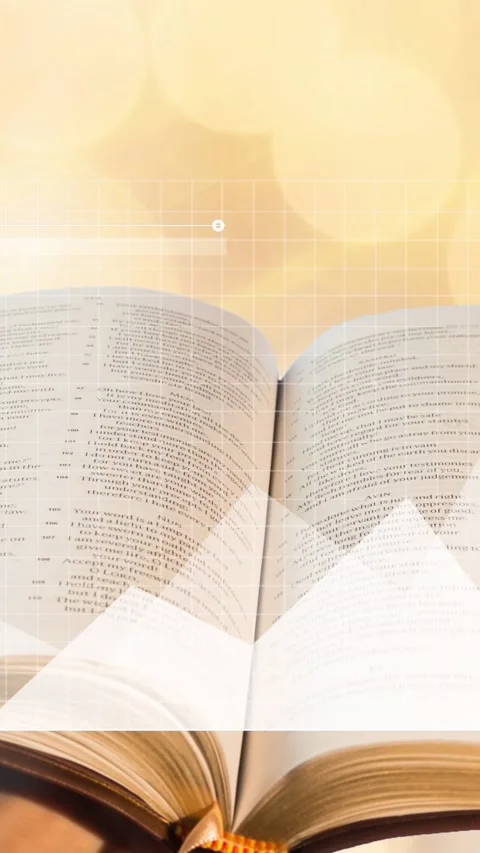 Animation of statistical data processing over open book against spots of light Stock Footage 344723162