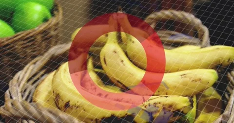 Animation of statistics and data processing over fruit in baskets in food shop Stock Footage 246410987