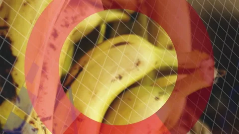 Animation of statistics and data processing over fruit in baskets in food shop Stock Footage 313330743