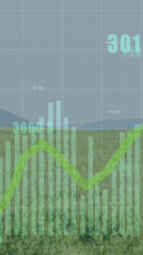 Animation of statistics and data processing over tree in agriculture field 스톡 동영상 321265642