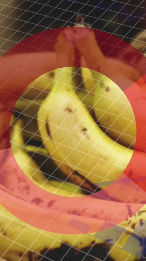 Animation of statistics and data processing over fruit in baskets in food shop Stock Footage 323897290