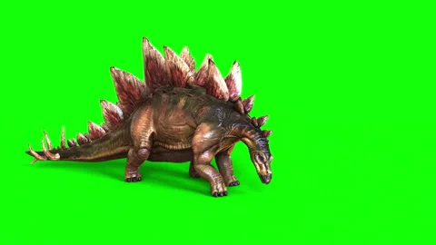 Animation of Stegosaurus isolate on green background. Stock Footage 292798285