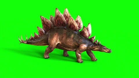 Animation of Stegosaurus isolate on green background. Stock Footage 292800760