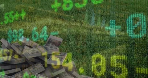 Animation of stock market data processing against stack of dollar bills on the Stock Footage 242020220