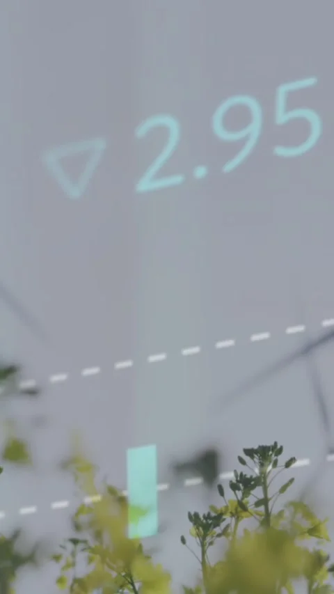 Animation of stock market data processing against flowers fields and spinning Stock Footage 344765936