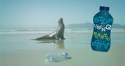 Animation of stop using plastic bottles text on bottle over seal and plastic Stock Footage 268406655