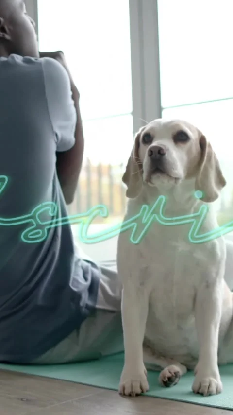 Animation of subscribe text over man exercising with dog at home Stock Footage 320330669