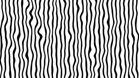 Animation - Surface displacement of abstract waves made of black thick line.. Stock Footage 249514006