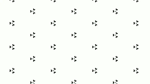 Animation of symmetrical pattern of floral black and white designs popping Video stock 131705293