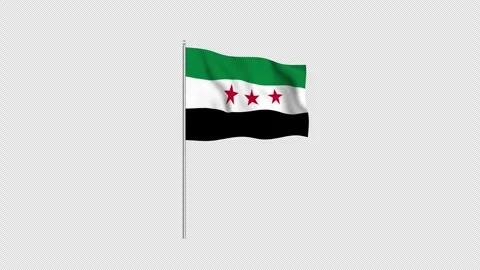 Animation of the Syria flag fluttering on a flagpole against a transparent .. Stock Footage 344039509