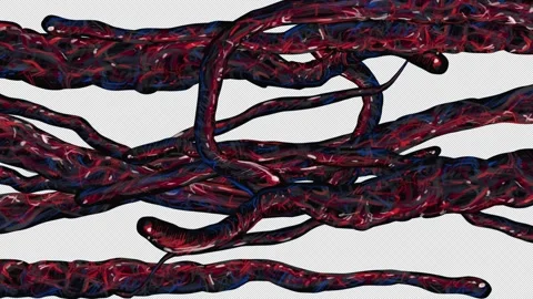 Animation of tentacles reaching toward each other on a blue screen. Stock video Stock Footage 334720801