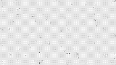 Animation with a texture of small black strokes on a white screen. Stock Footage 196134567