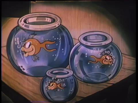 Animation of three fish in separate bowls from largest to smallest Stock Footage 260248358
