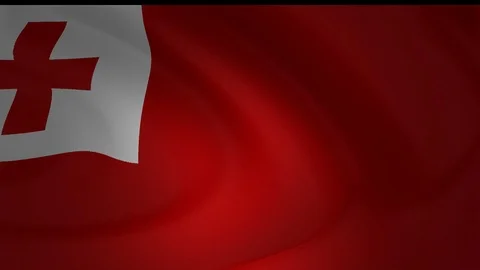 Animation of an Tonga flag closeup collection 스톡 동영상 91280561