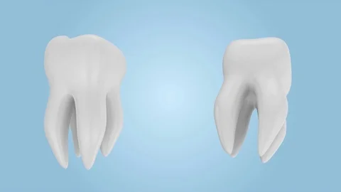 Animation of Tooth Rotation. Seamless Looping Stock Footage 73235347