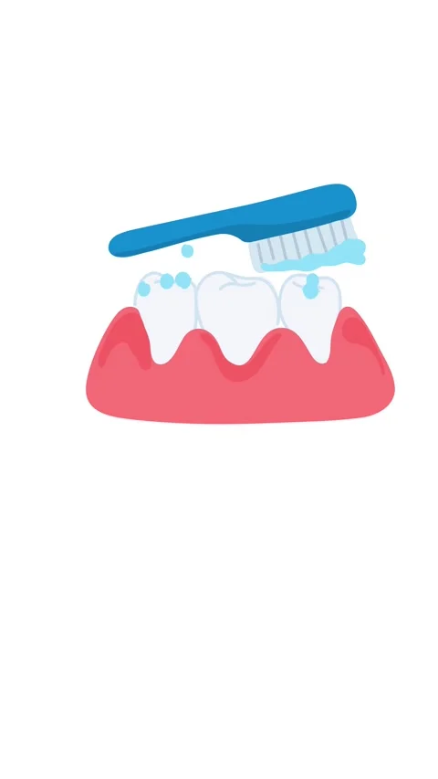 Animation of toothbrush cleaning teeth effectively Stock Footage 336298598