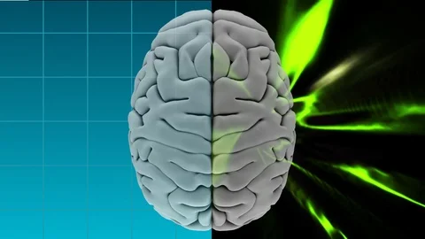 Animation of the top of brain against a binary codes and light effects Stock Footage 104951814