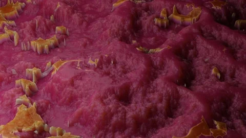 Animation of transformations of an abstract biological substance Stock Footage 251620979