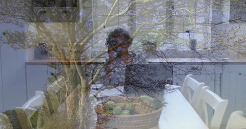 Animation of tree branches blending with kitchen scene, person sitting at table Stock Footage 329293017