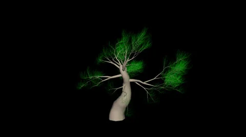 Animation Tree Stock Footage 23354319