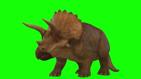 Animation of tricerapts, a type of dinosaur in 4k resolution Stock Footage 167245083