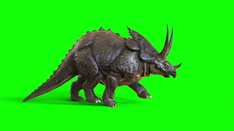 Animation of Triceratops dinosaurs. Stock-Footage 291229302