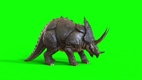 Animation of Triceratops dinosaurs. Stock Footage 291229960