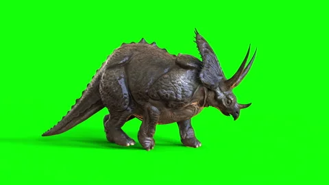 Animation of Triceratops dinosaurs. Stock Footage 291230097