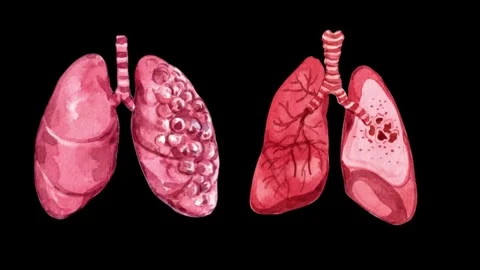 Animation twin lung moving isolated on black Stock Footage 296239939