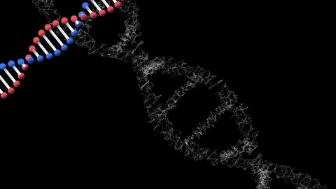 Animation of two 3d double helix DNA str... | Stock Video | Pond5