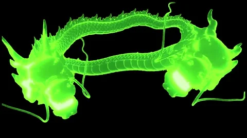 Animation two green dragon. Stock Footage 242099031