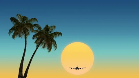 Animation of two palm trees at sunset and a plane flying towards us. Stock Footage 156459741