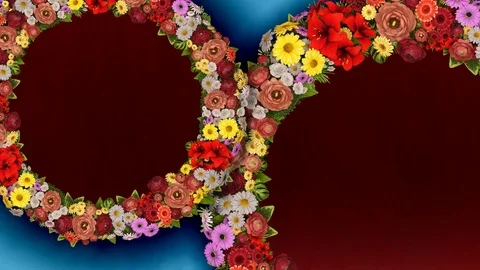 Animation of two rotating rings of flowers on light blue and red background Stock Footage 104861366