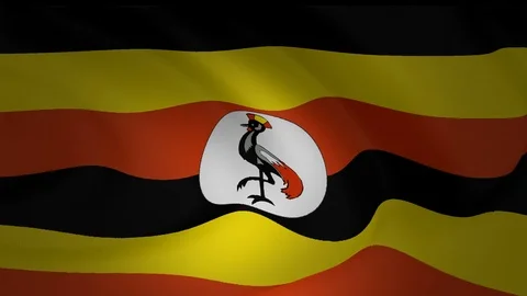 Animation of an Uganda flag closeup collection Stock Footage 91280567
