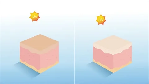 Animation-uv-Protection Stock Footage 157883560