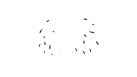 Animation of various cartoon firework or festive salute. Stock Footage 294776181