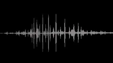 Animation video white abstract audio sound visualizer wave spectrum effect .. Stock Footage 305300944
