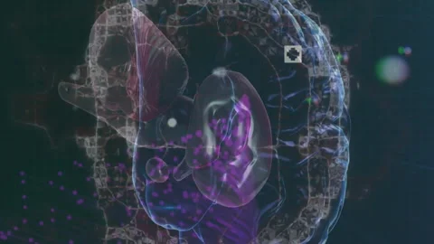 Animation of viewfinders, human brain and dynamic wave pattern over abstract Video stock 313087724